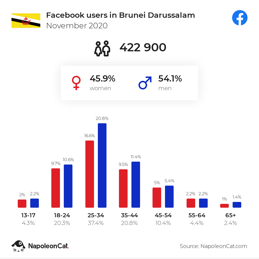 Facebook users in Brunei Darussalam